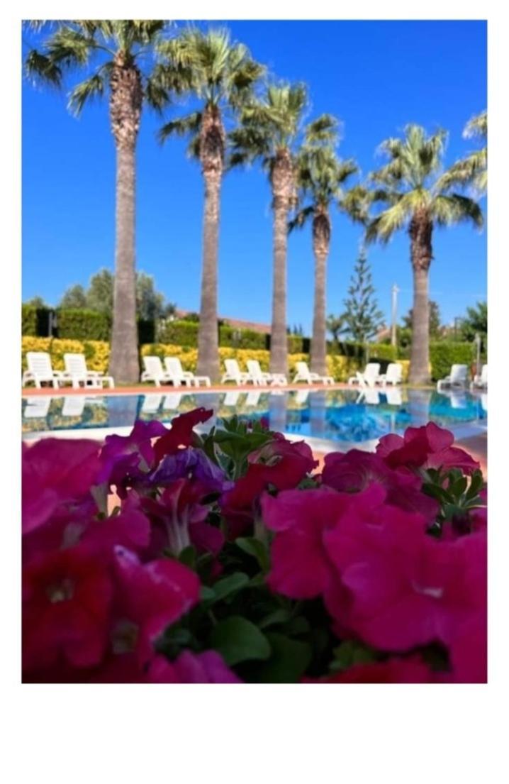 Villa Laura Residence Hotel Apartments & Studios Ашеа Экстерьер фото